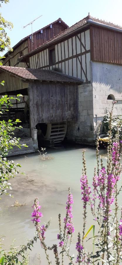 Moulin Du Ruet - Chambres D'Hotes Saint-Amand-sur-Fion Exterior foto